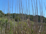 P1040653