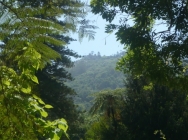 P1090669