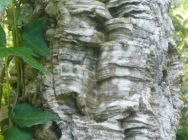 P1090681