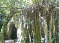 P1090684